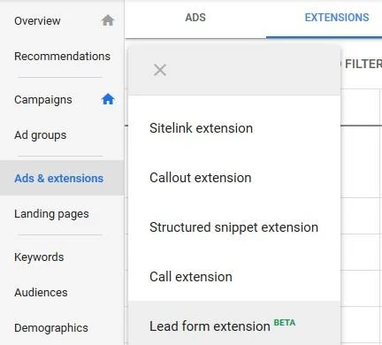 configuration-des-extensions-de-formulaire-Google-Lead